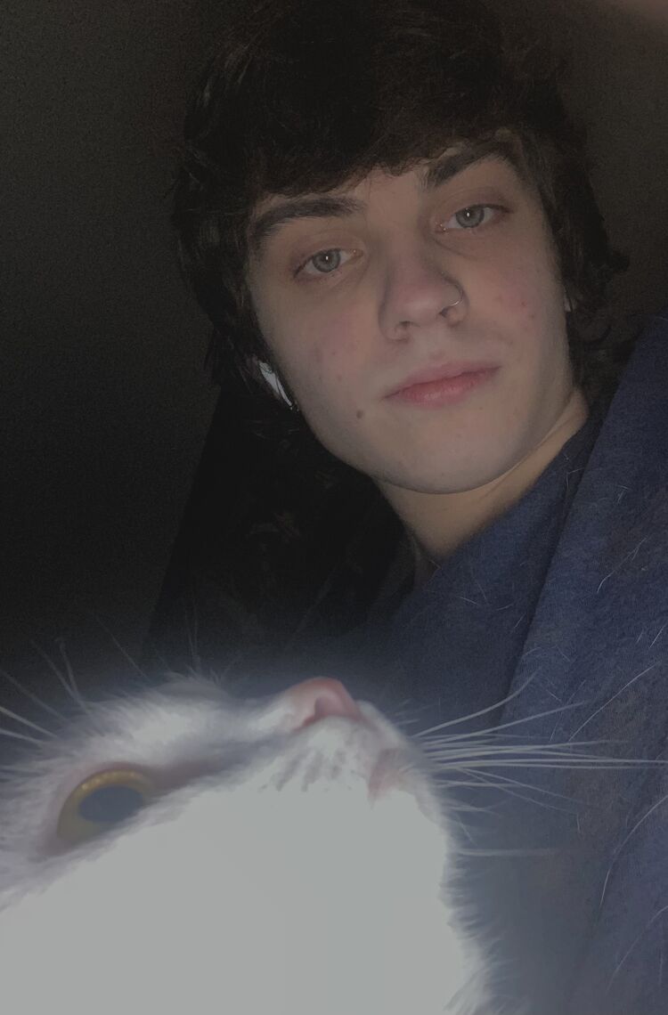 ���������� ���������, ���� ����� ����, 22 ����, ������������ ��� ������, ����� � ���������