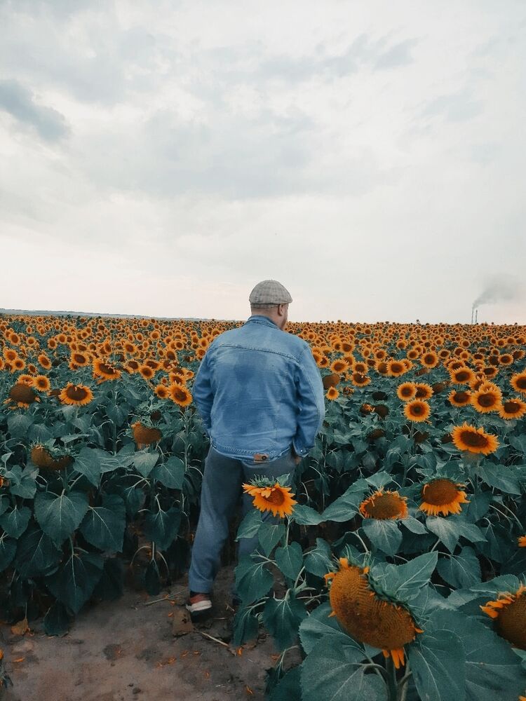 ���������� ������, ���� ������� �����, 27 ���, ������������ ��� ������, ����� � ���������