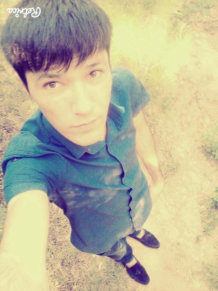  53508276  , 33 ,    