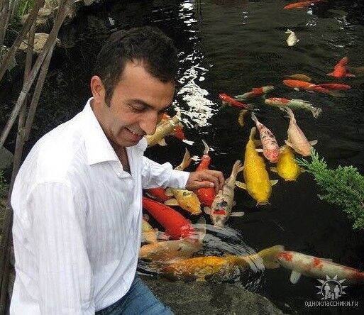  16846956  Cetin, 54 ,    