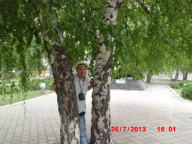 ���� 4466536 ������� ������, 45 ���, ���� ���������� � ���������