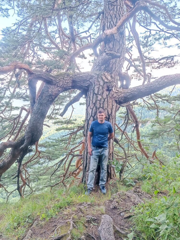 ���������� ������, ���� ������� �����, 38 ���, ������������ ��� ������, ����� � ���������, c�������� ���������, ���������