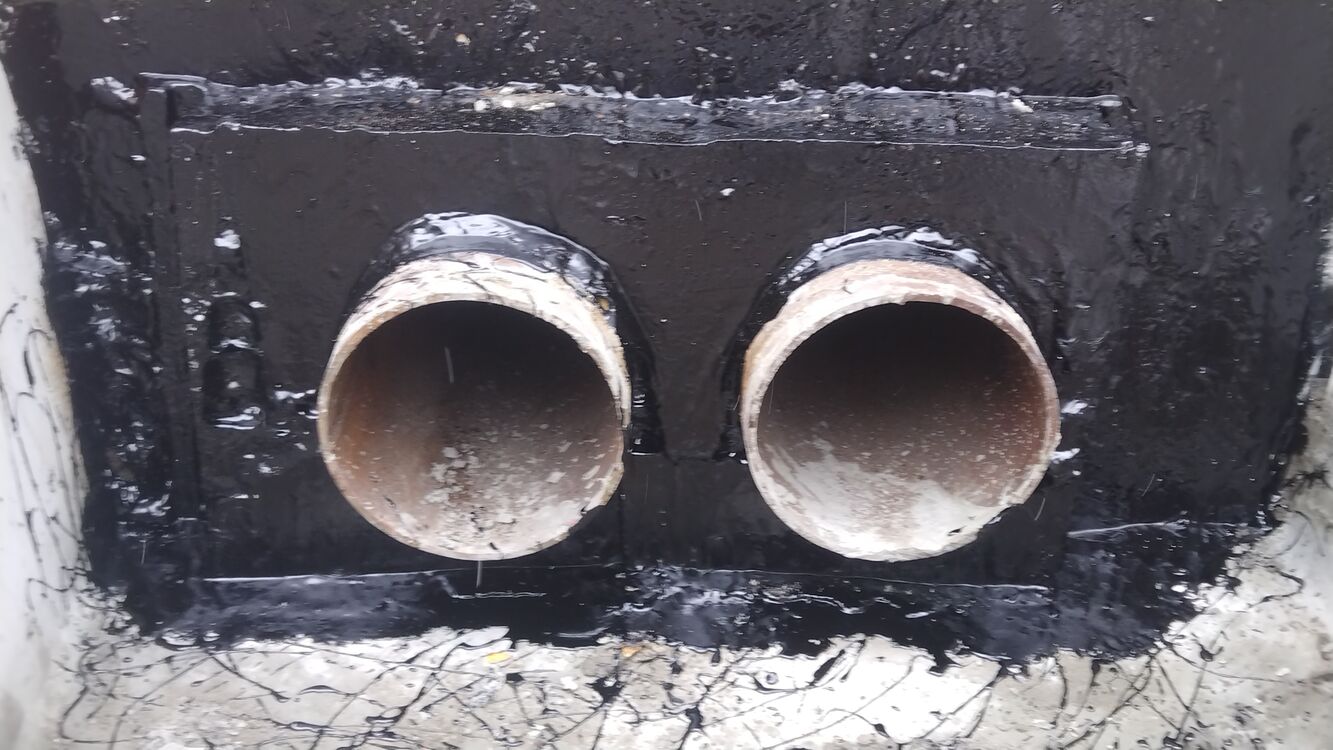 ���� 55976436 ������� ������, 44 ����, ���� ���������� � �����