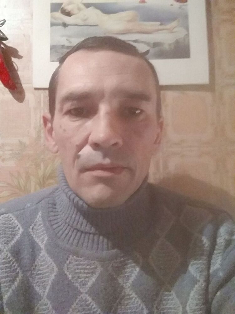  31648556  , 51 ,    