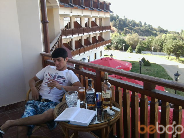 ���� 1101326 ������� Querido, 36 ���, ���� ���������� � ��������