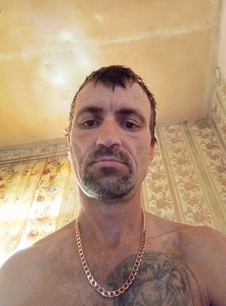  53746256  , 43 ,    