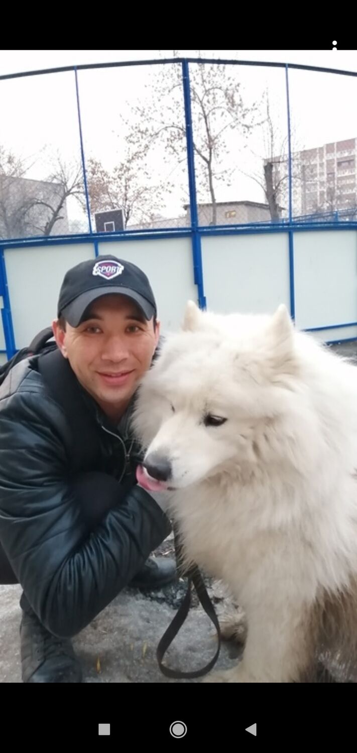 ���������� ���, ���� ������� ����, 36 ���, ������������ ��� ������, ����� � ���������, c�������� ���������, ���������