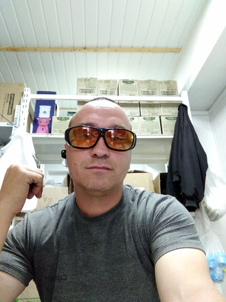 ���� 31954816 ������� �������, 44 ����, ���� ���������� � �����-����������