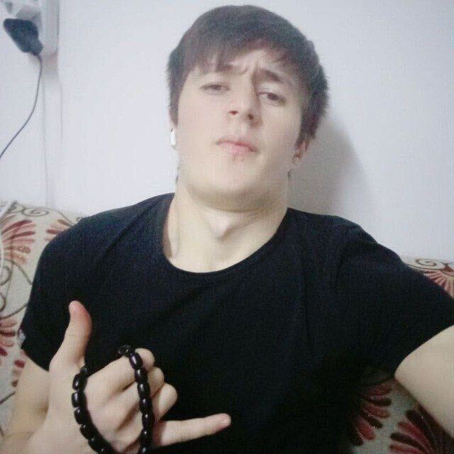  45519036  , 24 ,    