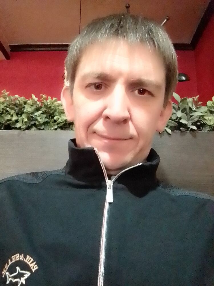  46528436  , 43 ,    -