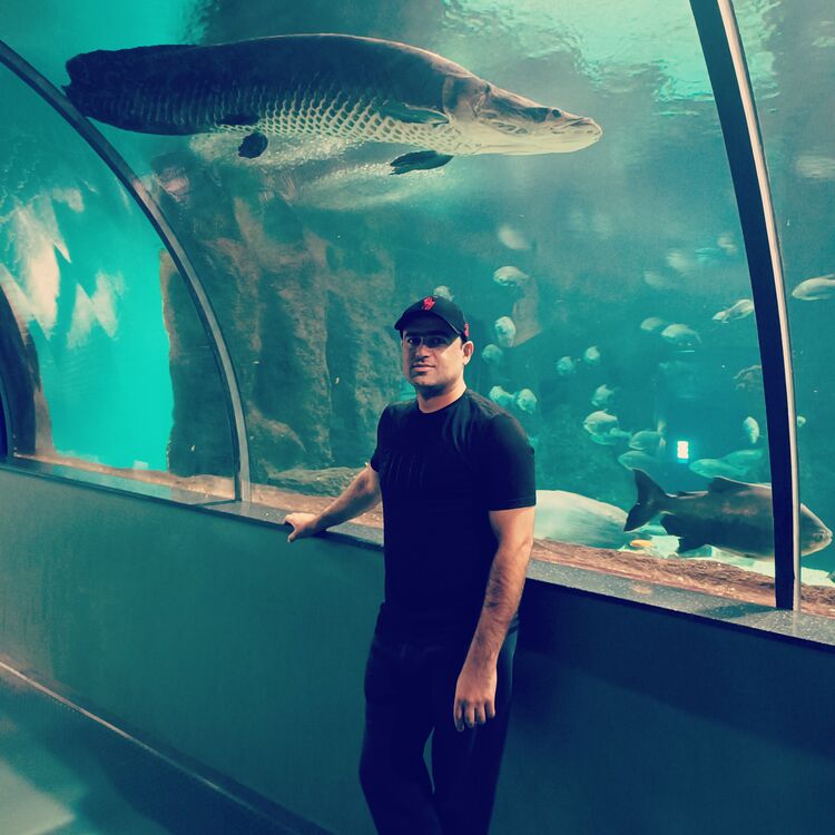 ���������� ������, ���� ������� ����, 35 ���, ������������ ��� ������, ����� � ���������