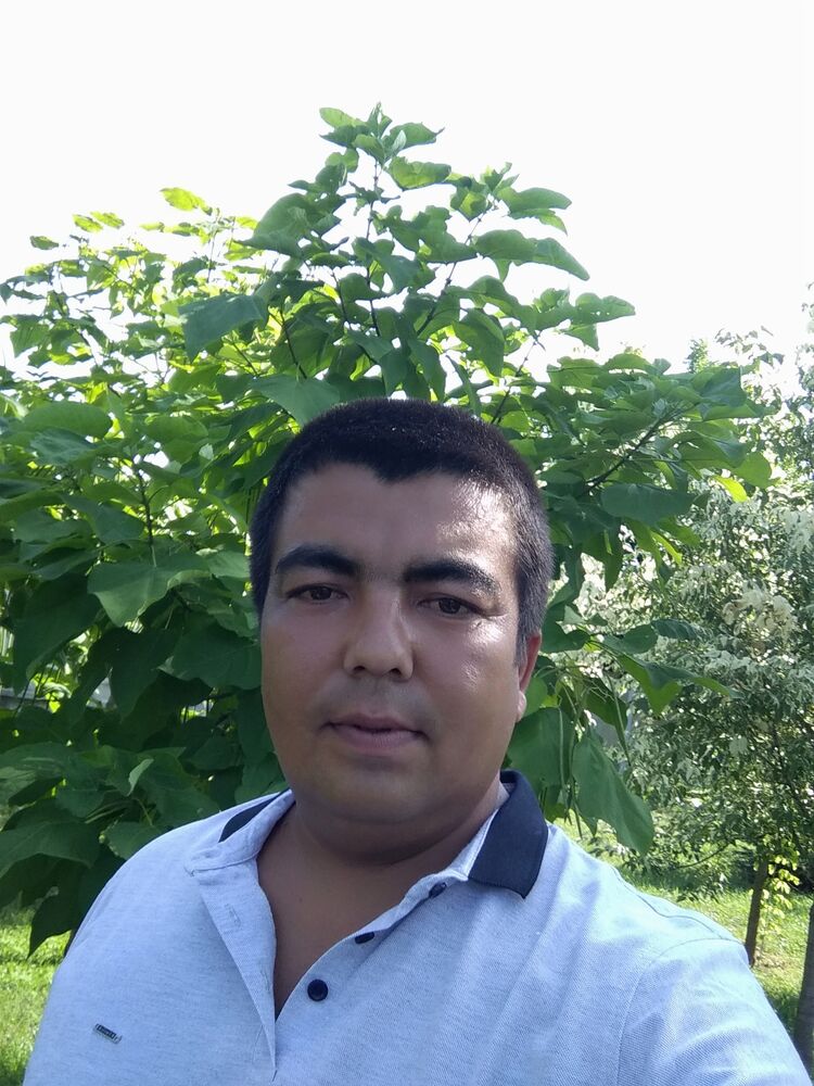  --,   , 38 ,   ,   