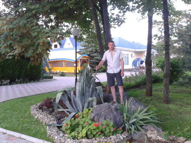 ���� 8541476 ������� �������, 43 ����, ���� ���������� � ������