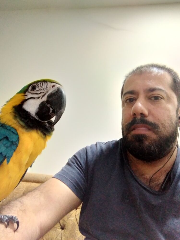  ,   Ned, 49 ,     , c 