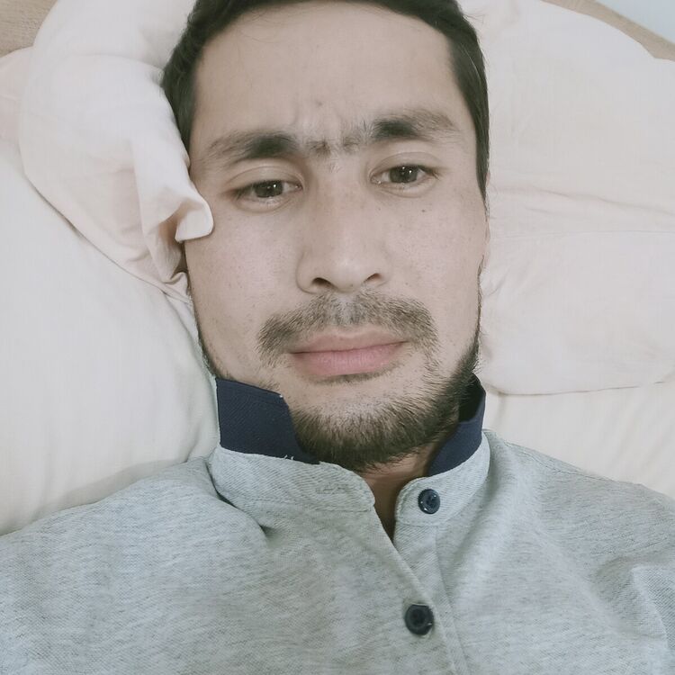  22274466  , 33 ,    