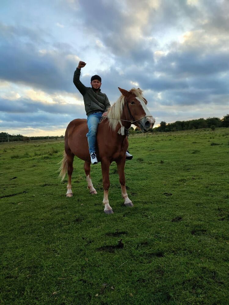 ���� 35230946 ������� ������, 27 ���, ���� ���������� � ������������