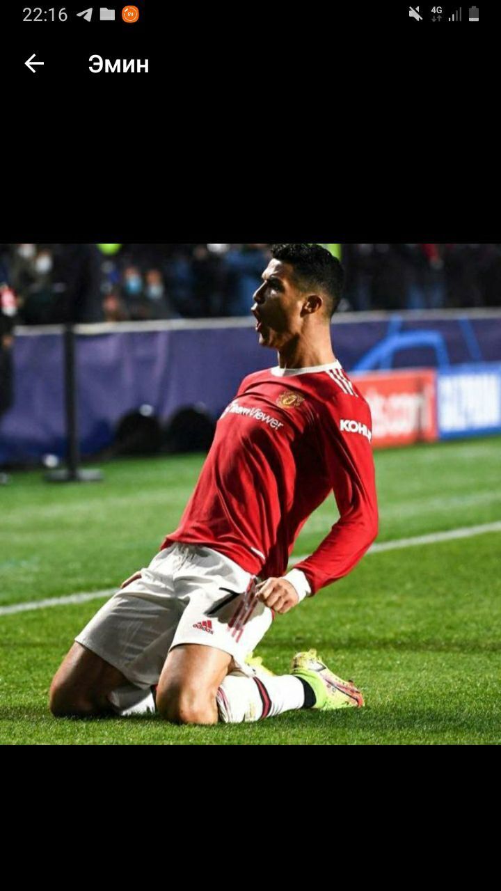 ���� 24390176 ����� ������, 24 ����, ���� ���������� � ����