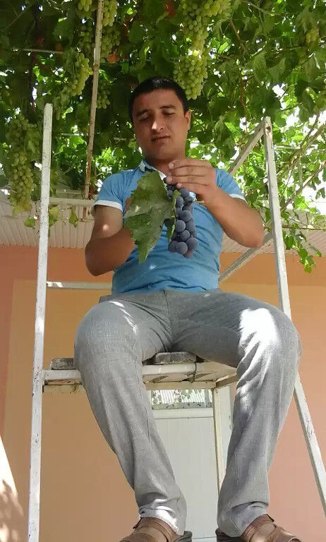 ���� 12322086 ������� �����, 33 ����, ���� ���������� � ����