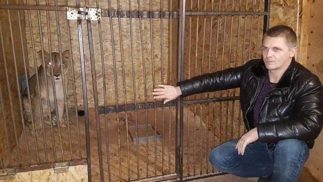 ���� 25207006 ������� �������, 43 ����, ���� ���������� � �����