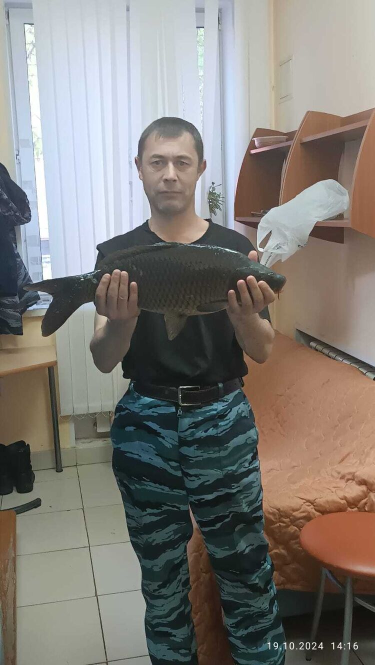 ���������� �������, ���� ������� ������, 46 ���, ������������ ��� c�������� ���������