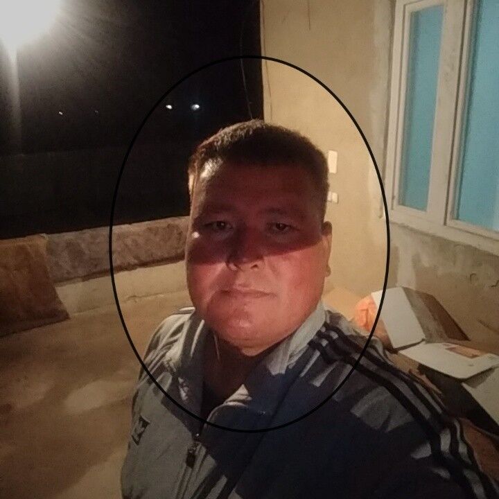 ���� 16834646 ������� ������, 48 ���, ���� ���������� � ������