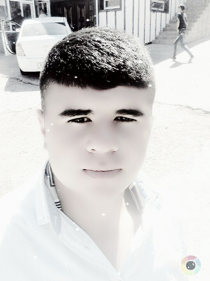 ���� 20954246 ������� Tiger, 27 ���, ���� ���������� � �������