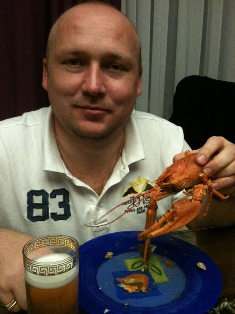  50585386  Ark, 45 ,    -