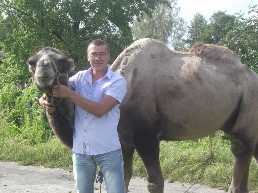 ���������� ������, ���� ������� ������, 38 ���, ������������ ��� ������, ����� � ���������, c�������� ���������, ���������