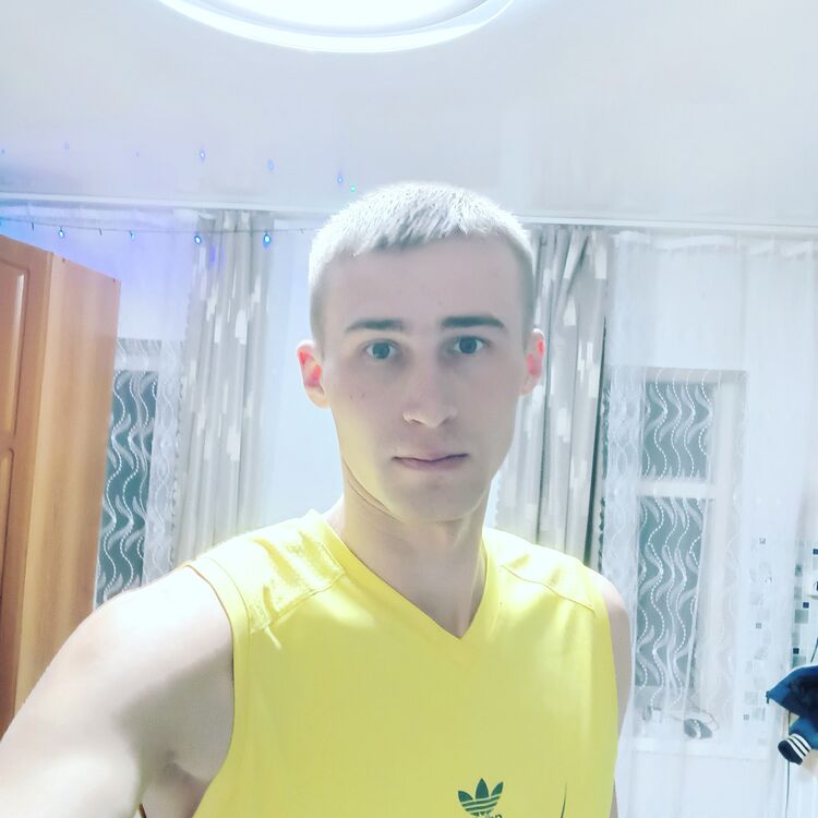  31629386  , 31 ,    