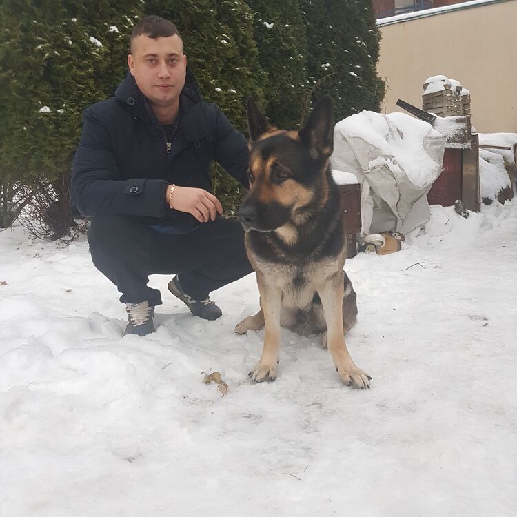 ���� 23956736 ������� ������, 36 ���, ���� ���������� � ������