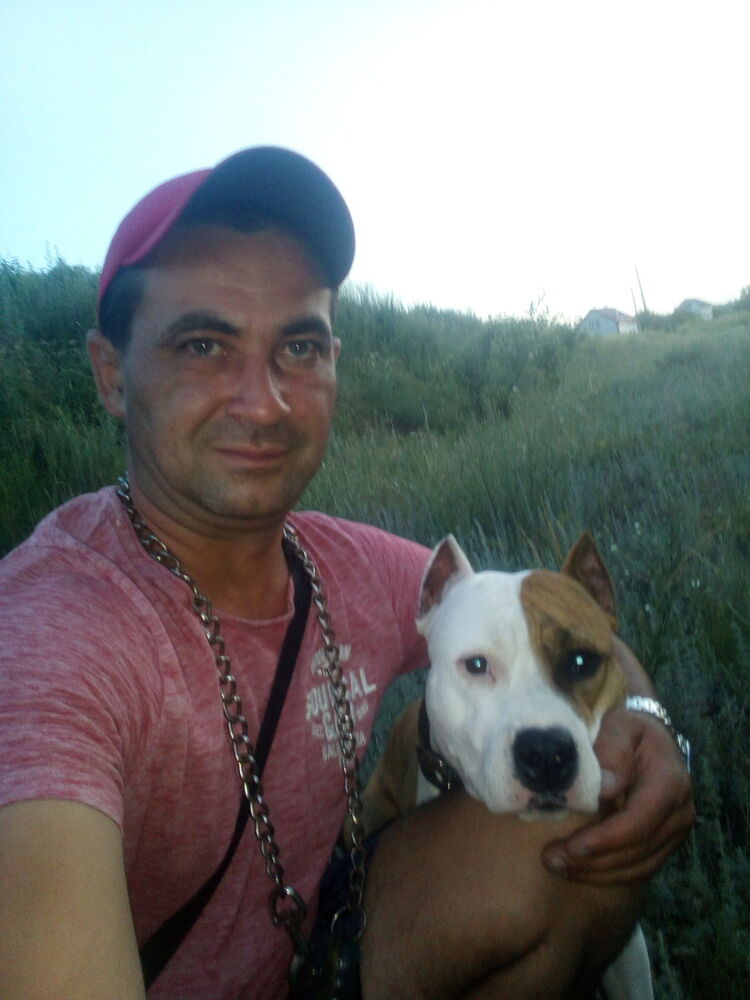 ���������� ���������, ���� ������� ����, 40 ���, ������������ ��� ������, ����� � ���������, c�������� ���������