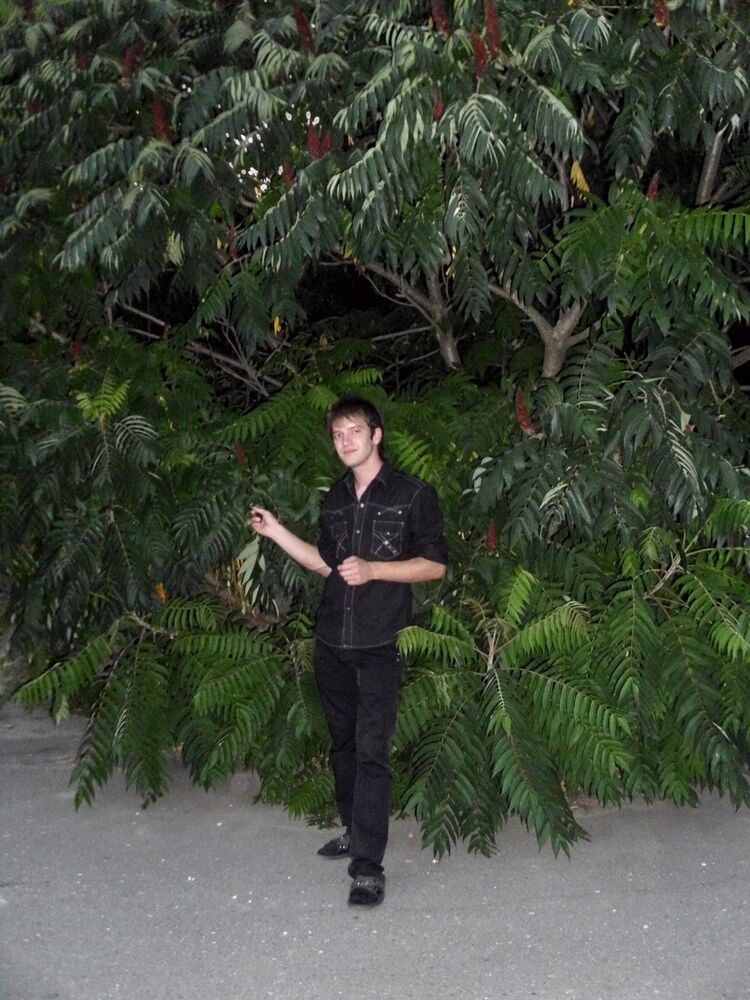 ���������� �����, ���� ������� ����, 36 ���, ������������ ��� ������, ����� � ���������, c�������� ���������, ���������