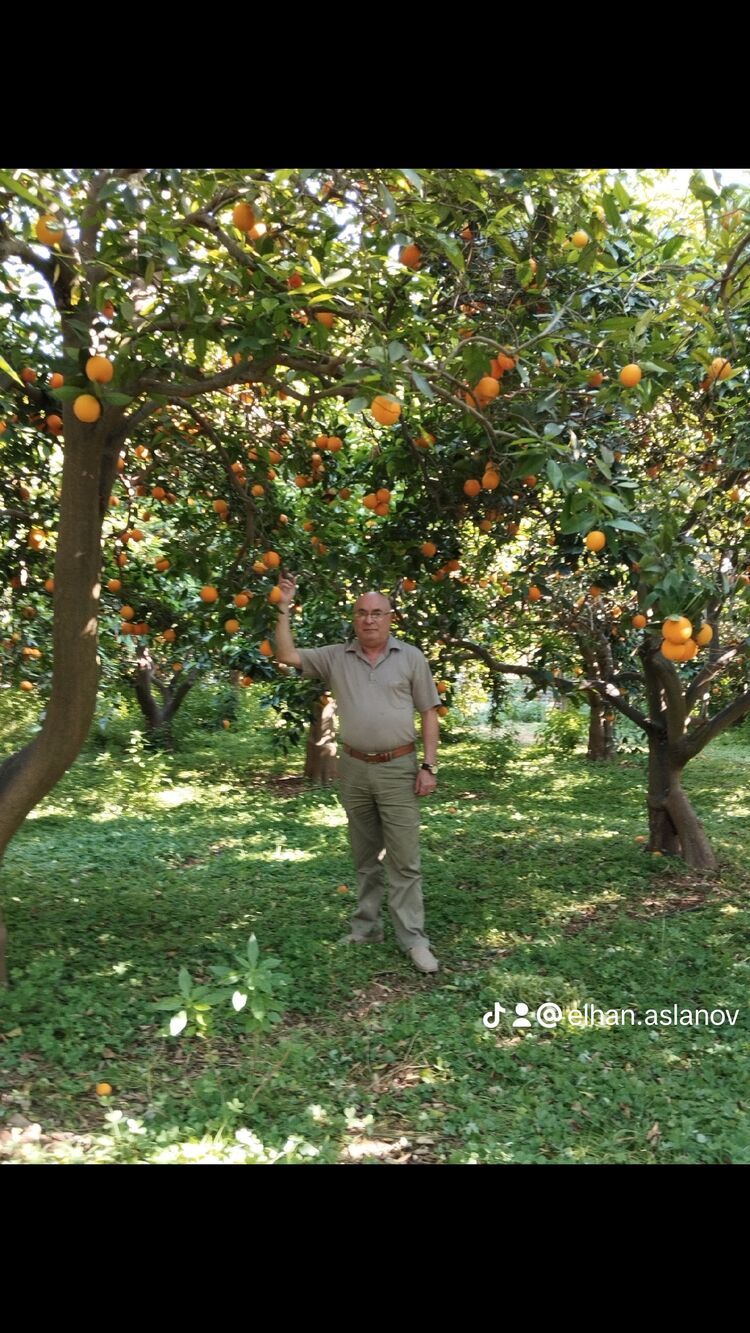  Nicosia,   Vaqif, 60 ,   ,   