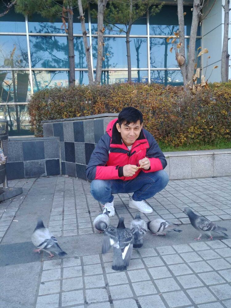  ,   , 37 ,   ,   