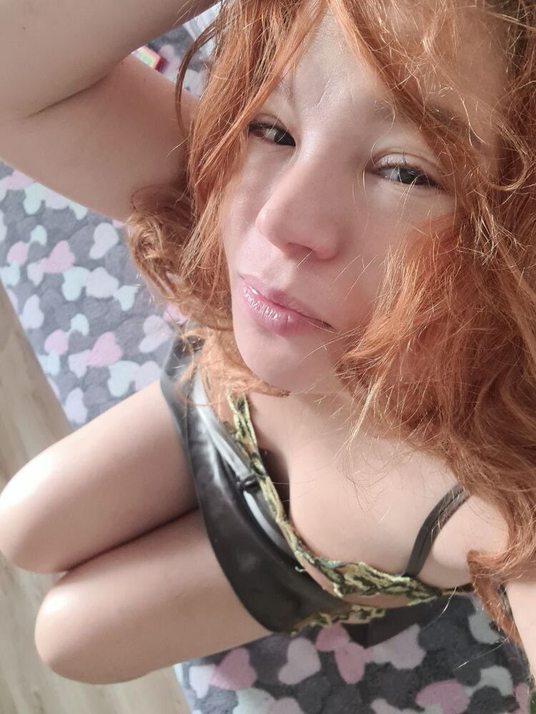  41356426  , 37 ,    
