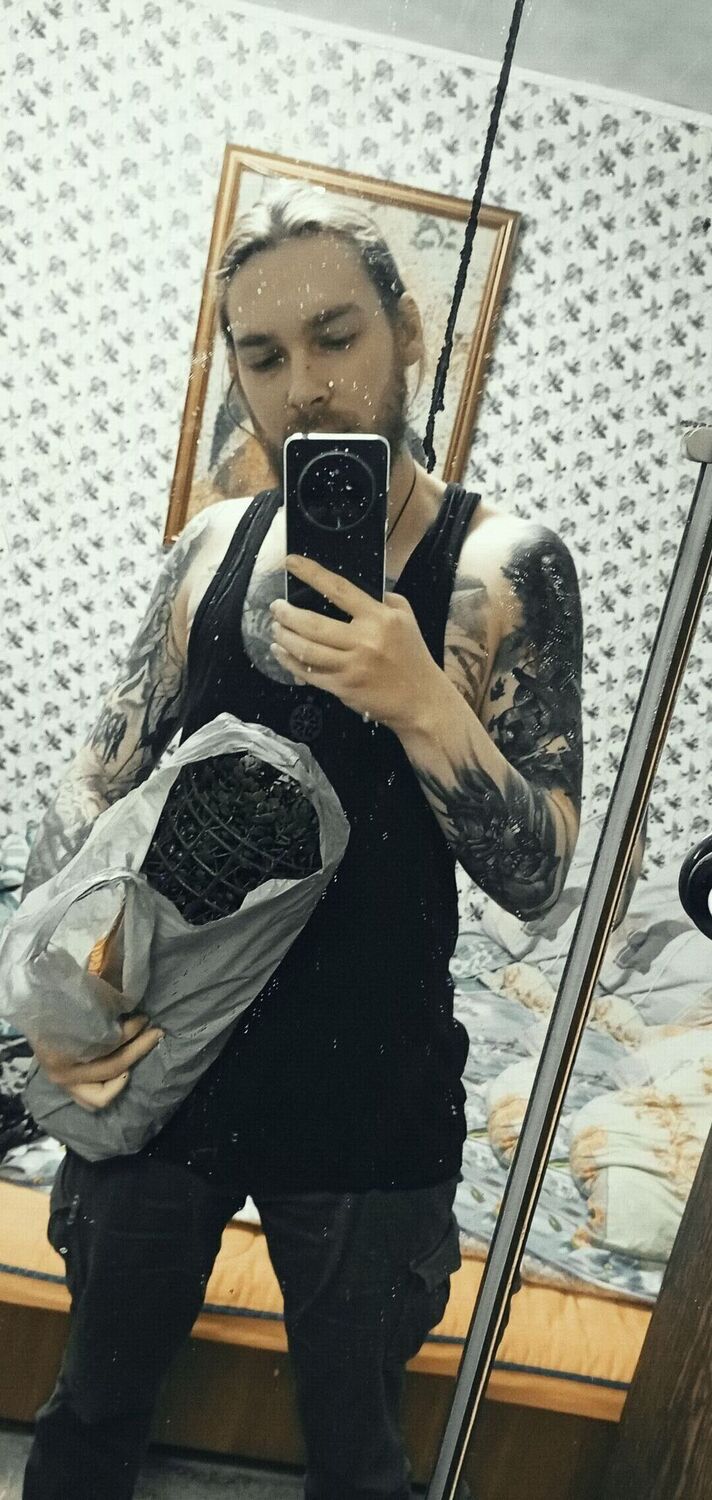  54403236  Pig Milk, 29 ,    -