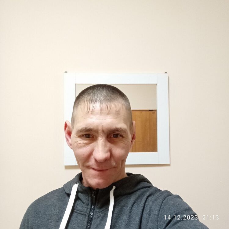  40334776  , 41 ,    