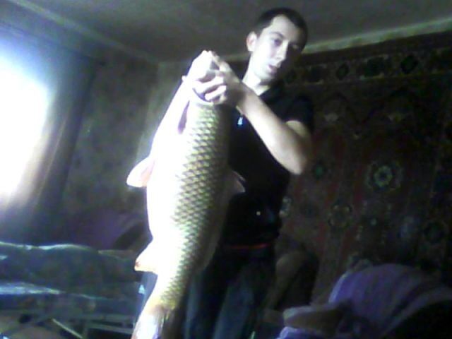 ���� 5459106 ������� Egor12345, 31 ���, ���� ���������� � ������