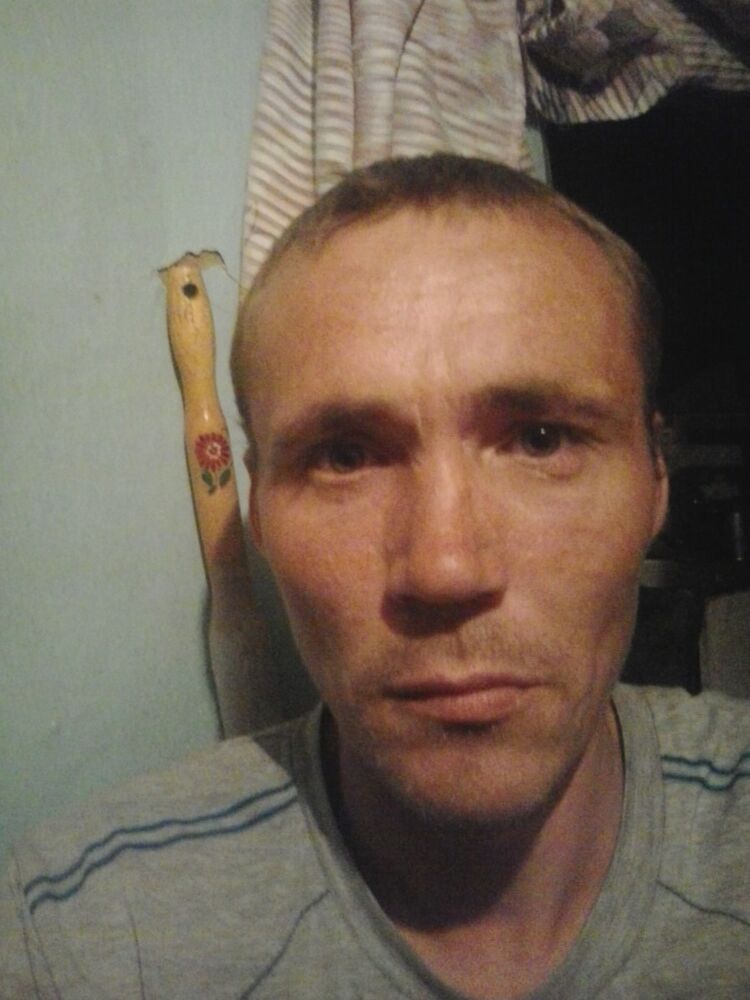  9668856  , 45 ,    -