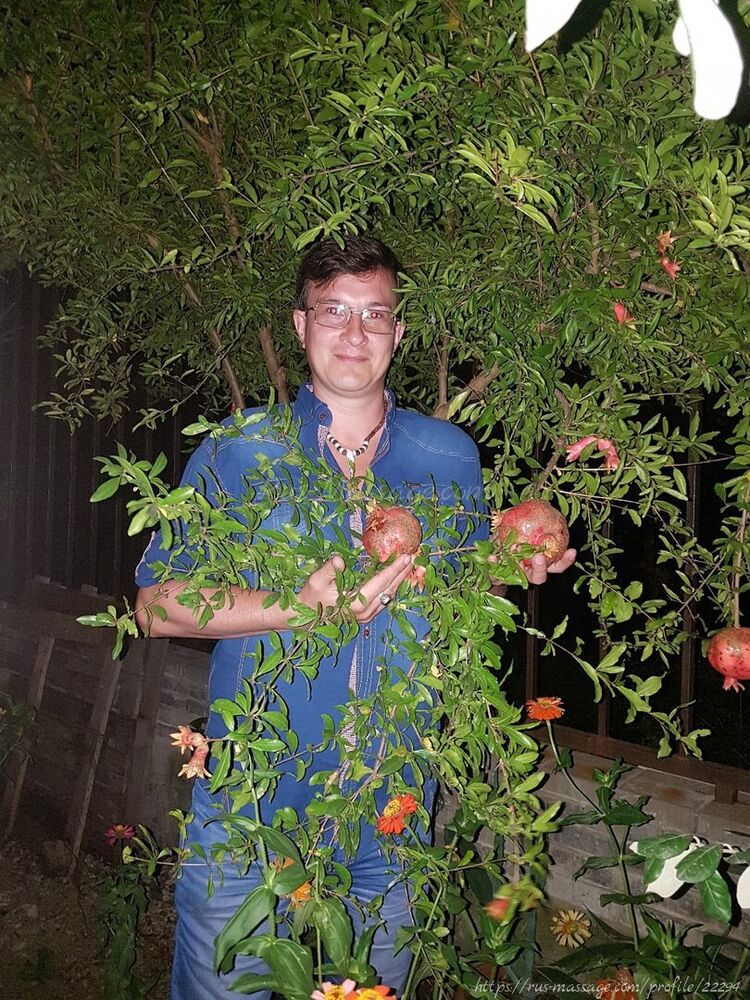  ,   Alex, 38 ,     , c 