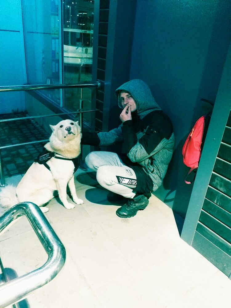 ���������� �����, ���� ������� Steeve, 35 ���, ������������ ��� ������, ����� � ���������