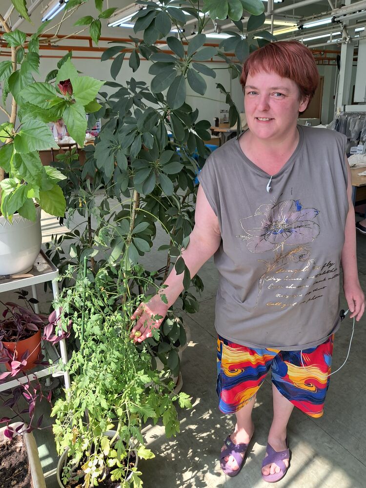 ���������� ������, ���� ������� ���, 42 ����, ������������ ��� ����� � ���������, ���������