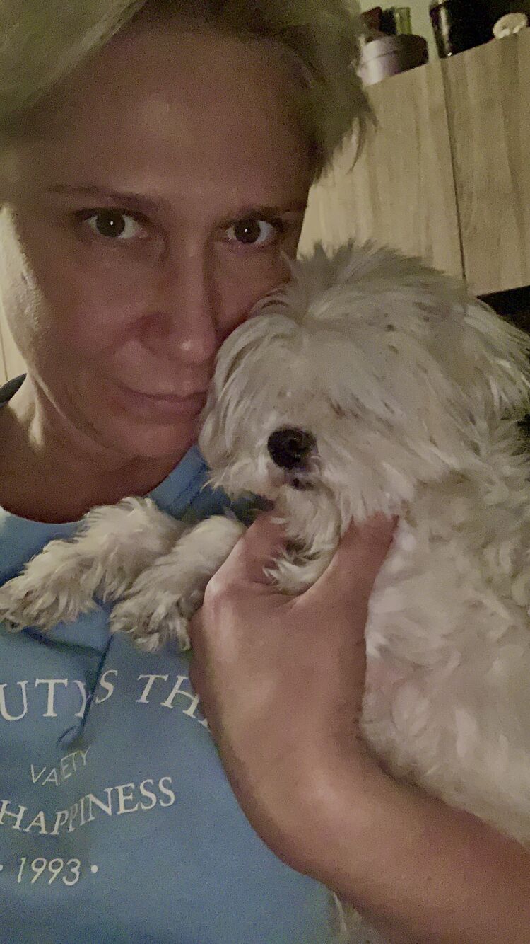 ���������� ������, ���� ������� ���������, 50 ���, ������������ ��� ������, ����� � ���������