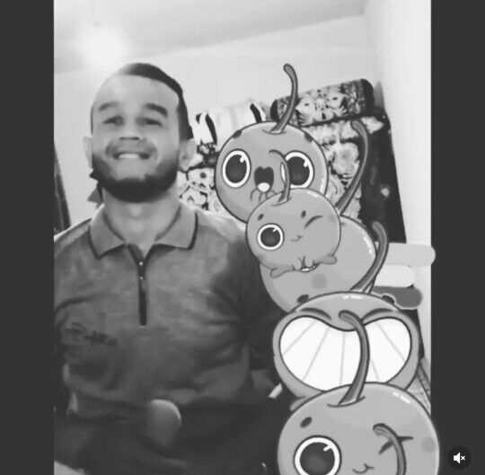 ���� 32732556 ������� Optimus, 30 ���, ���� ���������� � ������ ���������