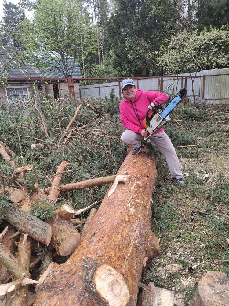 ���� 51857086 ������� �����, 81 ���, ���� ���������� � ��������