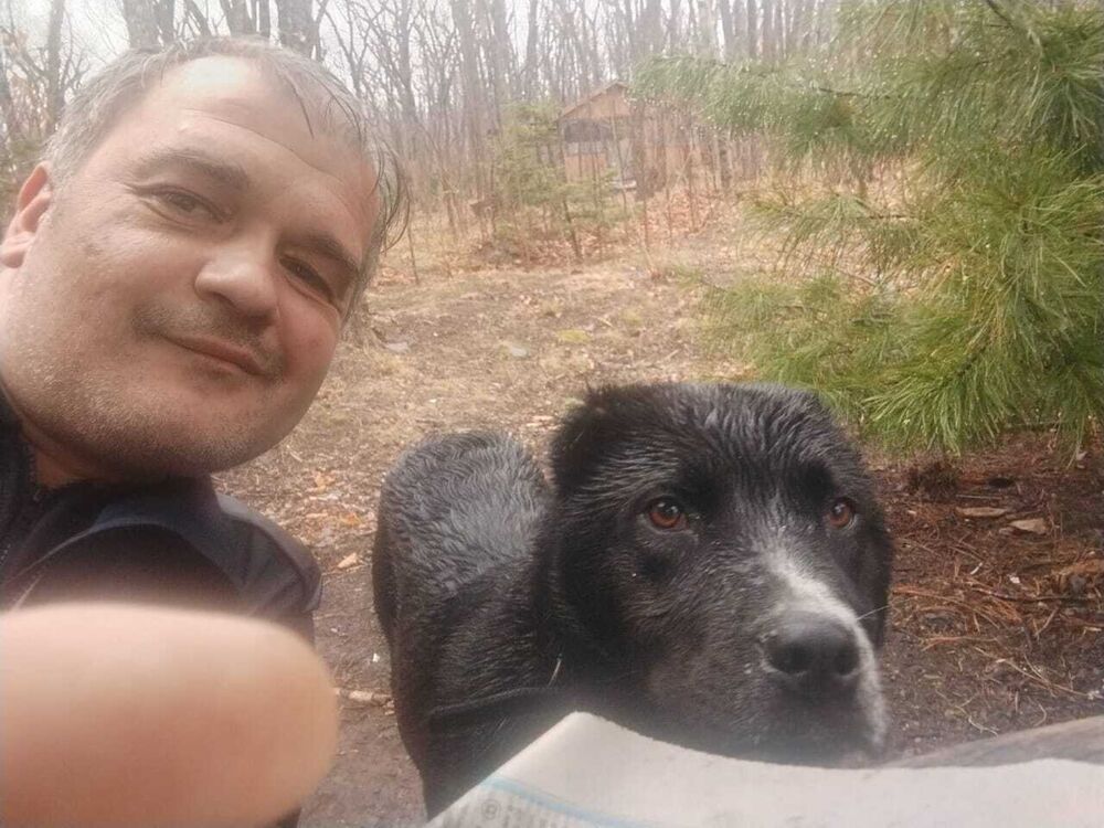 ���� 55964566 ������� ������, 40 ���, ���� ���������� � ������������