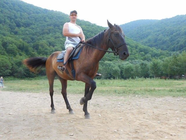 ���������� ����������, ���� ������� ���������, 43 ����, ������������ ��� ������, ����� � ���������, c�������� ���������