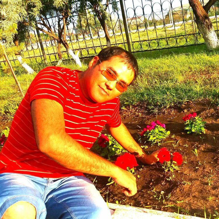 ���������� ������, ���� ������� ������, 38 ���, ������������ ��� ������, ����� � ���������, c�������� ���������