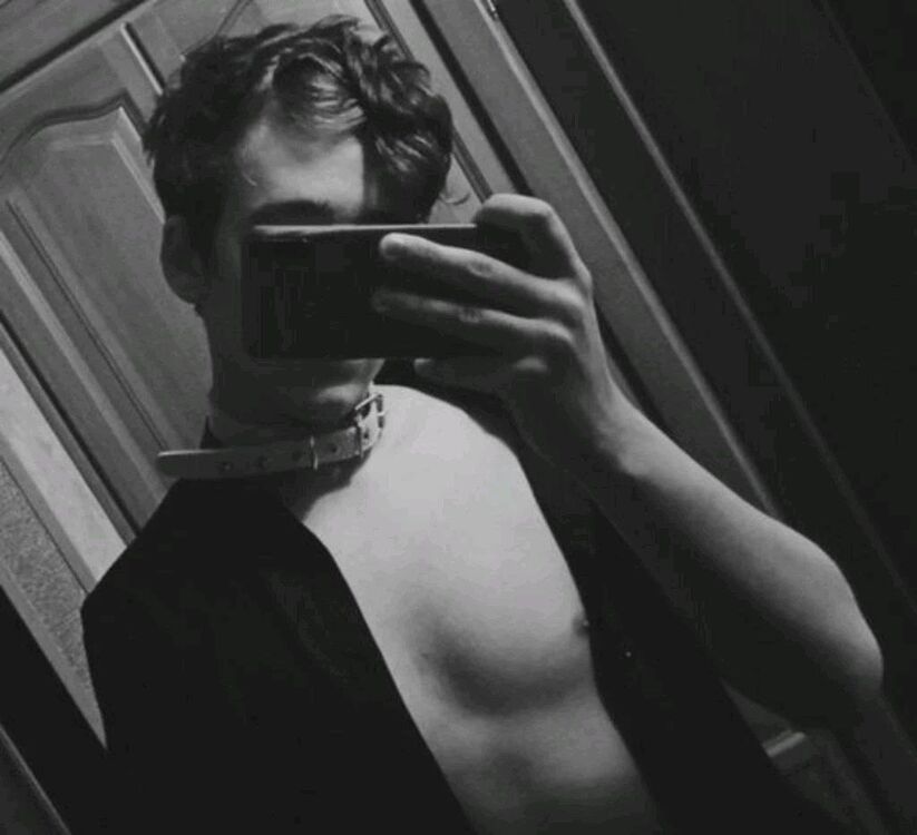  49120096  , 19 ,    