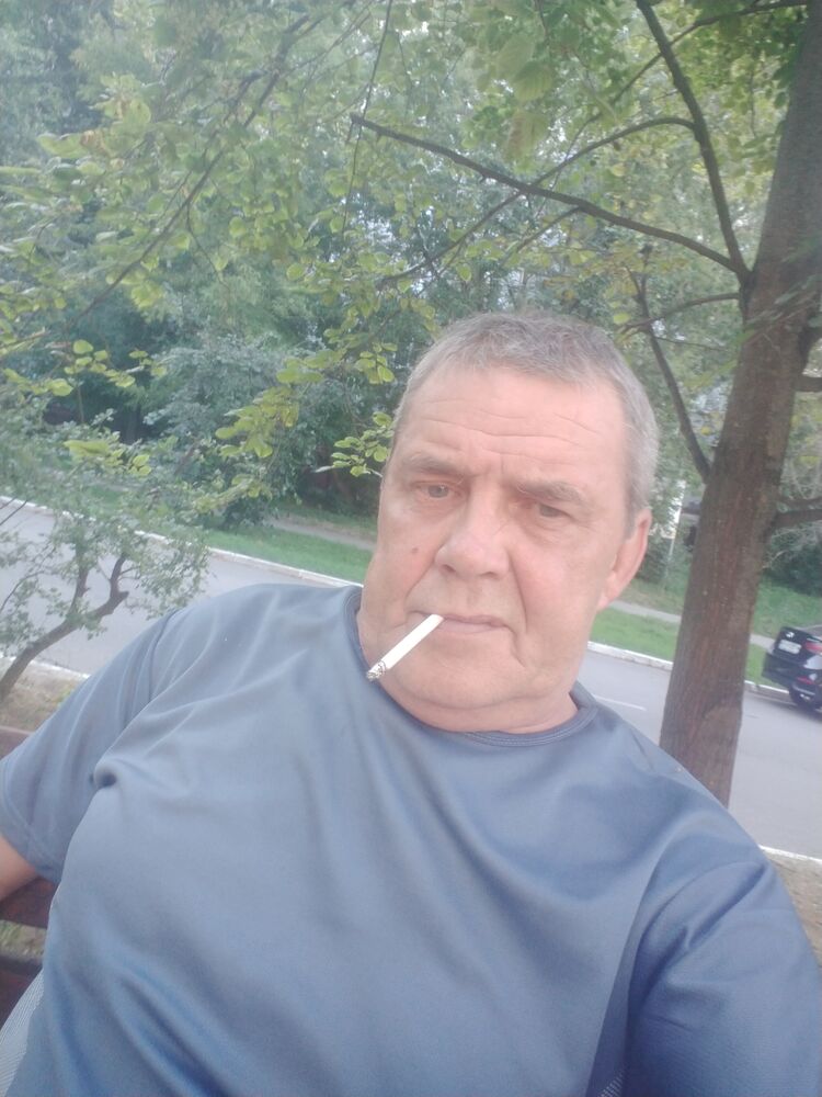  52773036  , 50 ,    